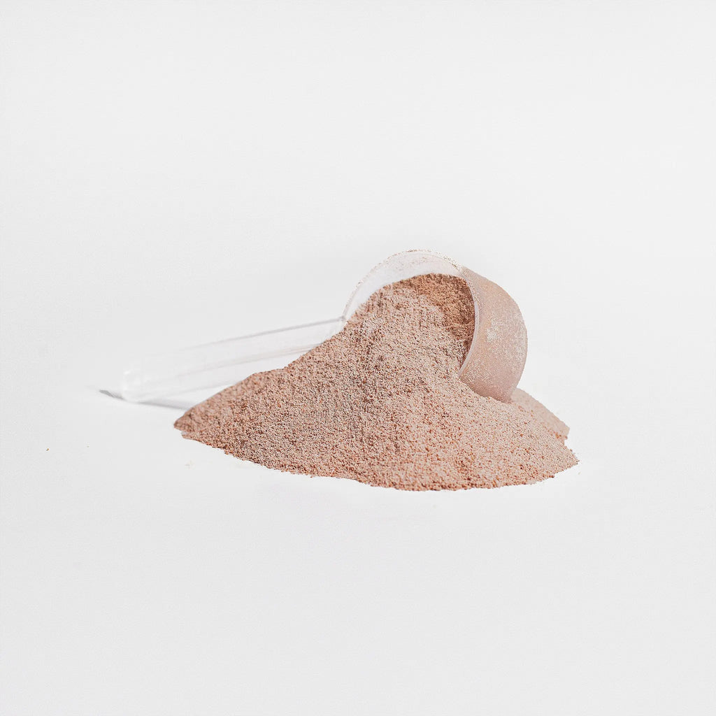 Afterhours Grass-Fed Collagen Peptides Powder (Chocolate) EDMFestieGear.com